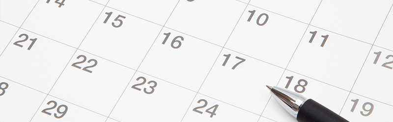 現地調査・ヒアリング